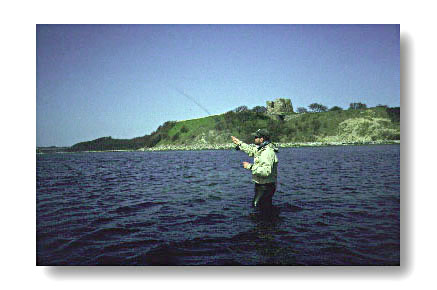 FlY FISHING] CAST LONGER DISTANCES ON SEAWEED, SURF (STRIPPING